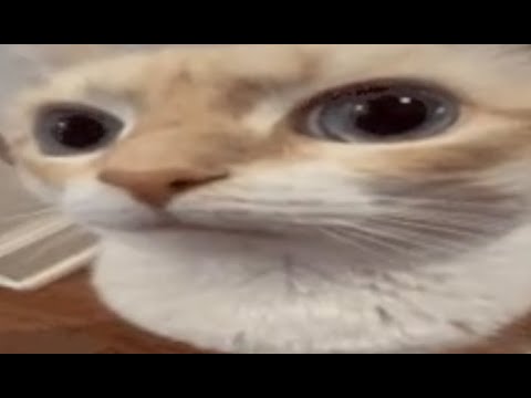 Plaats je speld op de kaart (AAW 116)