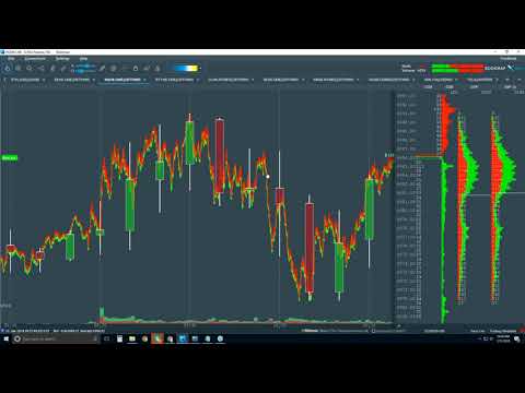 2018-01-31 Bookmap Platform Details - Wed