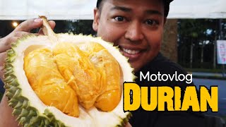 Day Trip JB: Alpaca  Cafe / Durian / Night Market 🇲🇾