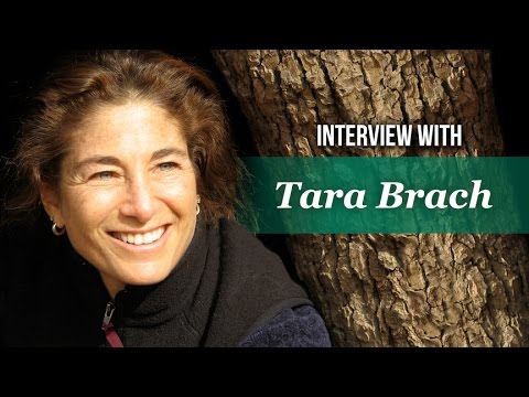 download lagu mp3 mp4 Tara Brach Biography, download lagu Tara Brach Biography gratis, unduh video klip Tara Brach Biography