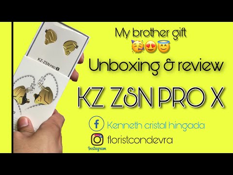 KZ ZSN PRO X /unboxing & review
