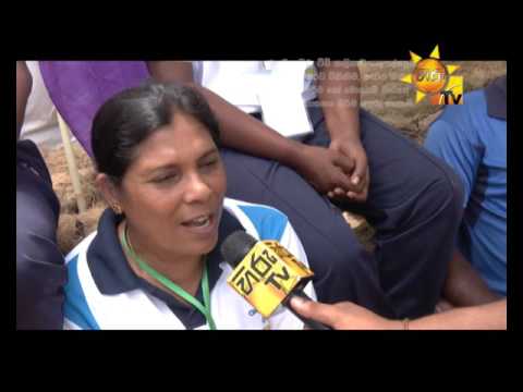 Hiru TV