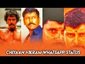 VIKRAM MASS WHATSAPP STATUS CHIYAAN VIKRAM WHATSAPP STATUS TAMIL