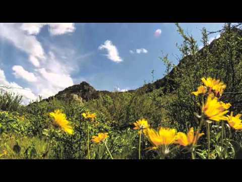 Matt Redman - Remembrance (Lyric Video)