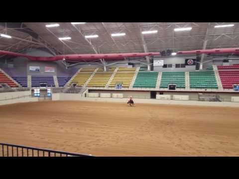 Hollywoods Money with Tommy Powell.