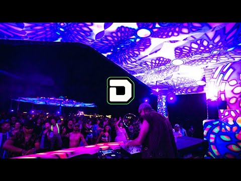 Dimension Festival 2021 | Official After Movie