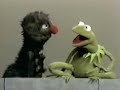 Sesame Street In The Box