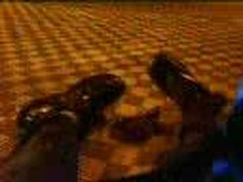 Movimento Punk em SJC