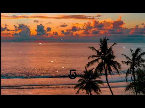 The Fish House & Booty Leak feat. Tau - Wake Me