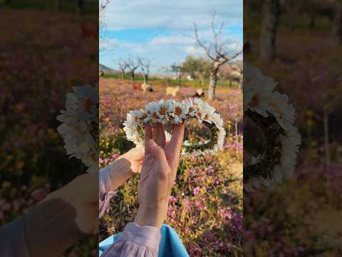 ⁨ من زهرة صغيرة… إلى طوق ورد 🌷مع Honor 600 كل لقطة تظهر بجمالها الحقيقي