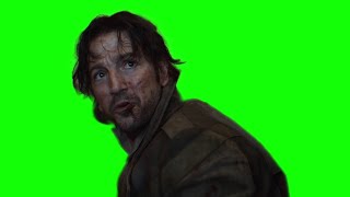 Cassian Andor "who are you?" green screen