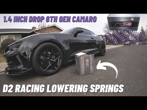 D2 Racing Lowering Springs for 6th Gen Camaro *LOW*