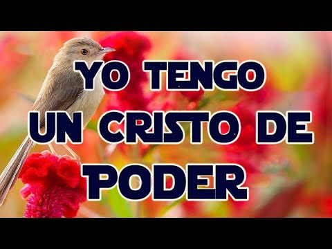 200 Minutos de coritos pentecostales - 100 Coros Viejitos Pero Bonitos Coros Pentecostales