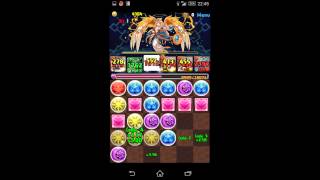 【パズドラ】ゼウスディオス降臨 聖姫アルマリーダー