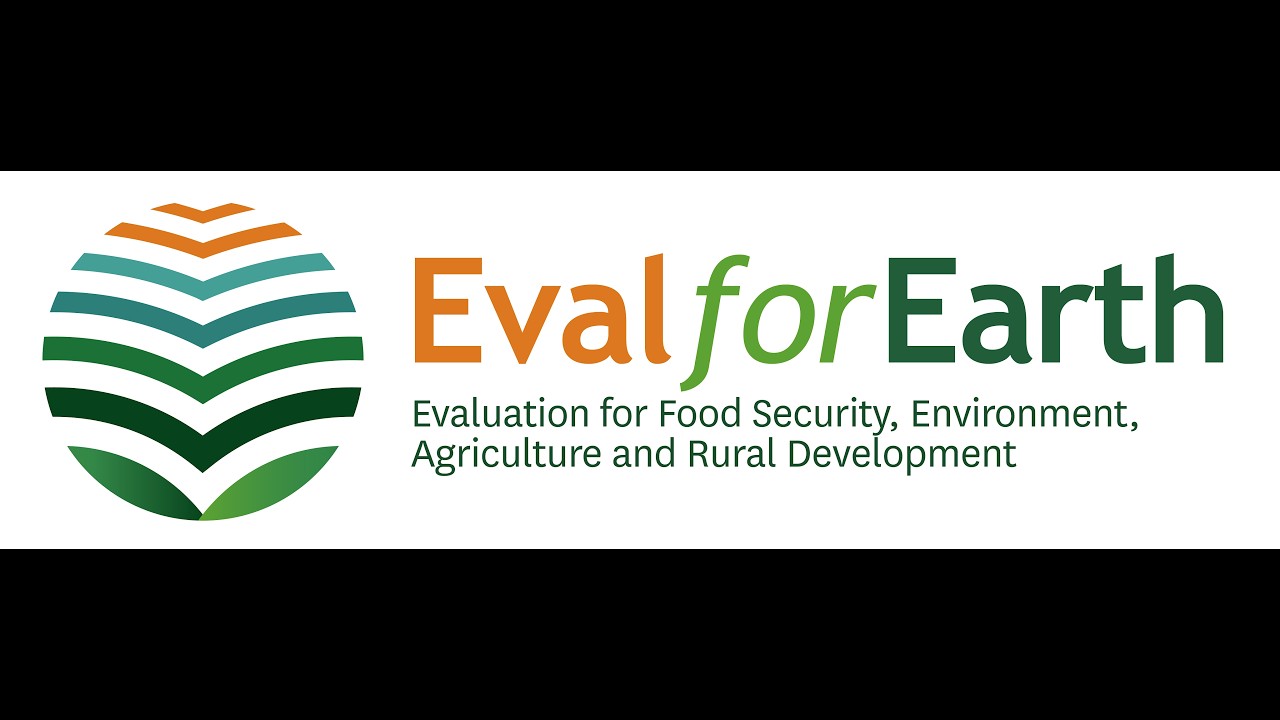 EvalforEarth at One Year: Executive Group reflections and the road ahead