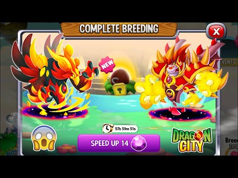 Dragon City: Phoenix Eternal Dragon vs Destroyer Eternal Dragon [EXCLUSIVE BREEDING] 😱