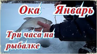 Отчет о рыбалки ока
