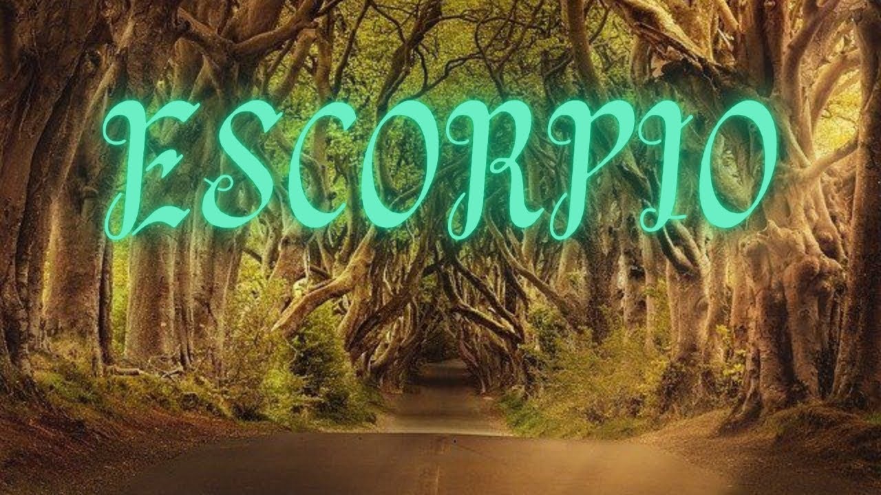 ESCORPIO 1 BRUJA TE SUBESTIMÓ🫢SU MALDICIÓN ES DESTRUIDA AL CHOCAR CON TU FUERTE ENERGÍA😃TENDRÁS TODO