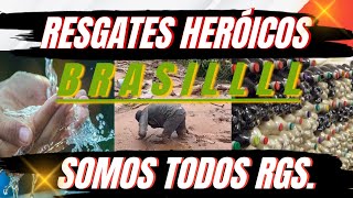 RIO GRANDE DO SUL ENFRENTA SEU MAIOR DESASTRE |  SOS RIO GRANDE BRASILLL NINGUÉM LARGA NINGUEM