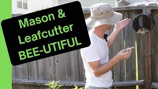 Bamboo Bee Haven: DIY Mason and Leaf Cutter Bee House