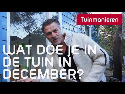 Wat doe je in de tuin in december