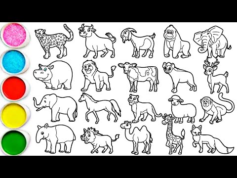 Draw Amazing Animals in 40 Minutes - Cheetah, Bull, Goat, Gorilla, Mammoth, Hippo, Lion Cow & others
