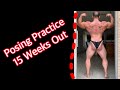 Physique Update | 208lbs | Bodybuilding Posing Practice - 15 Weeks Out