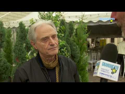 Amedeo Minghi -l'intervista - Progetto mattone del cuore -  Montenero - 27.05.2018