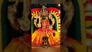 Download lagu 🙏🙏🙏🌺#Kamatchi ammanukku karagam eduppen song# shortsvideo# mp3