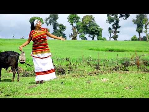 Hawwii H Qananii - New Oromo Music