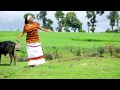 Hawwii H Qananii New Oromo Music