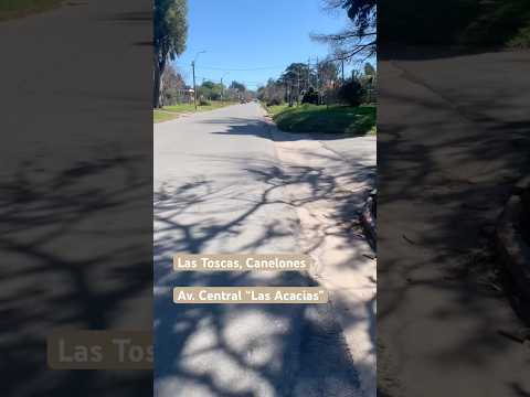 Sunny Ride Through Las Toscas, Canelones #uruguay ☀️🚴‍♀️