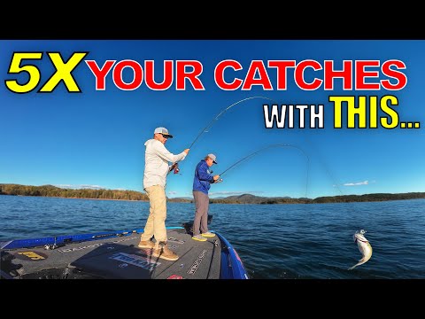 5x your catches - These tips helped me so much I had to show you. Bass Fishing Lake Chatuge