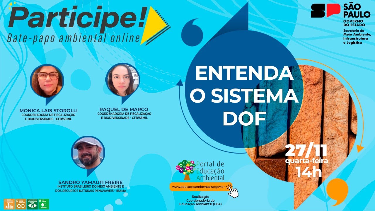 Participe! Entenda o Sistema DOF