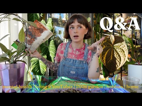 answering your questions about my planty life 🌿☕️