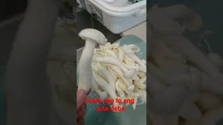 Download lagu alam nyo yan ang cute nya deba mp3 Download lagu alam nyo yan ang cute nya deba mp3