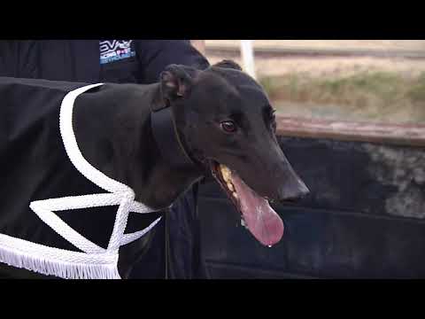 2020 RPGTV ALL ENGLAND CUP FINAL - T5 BOWER LUKE