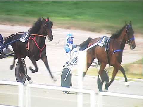 Trotto 10/03/2019 - 5ª corsa