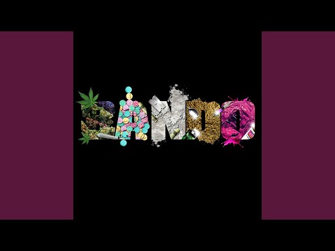 Started Up in the Kitchen