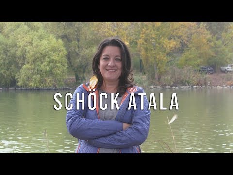 SHÖCK ATALA PORTRÉ
