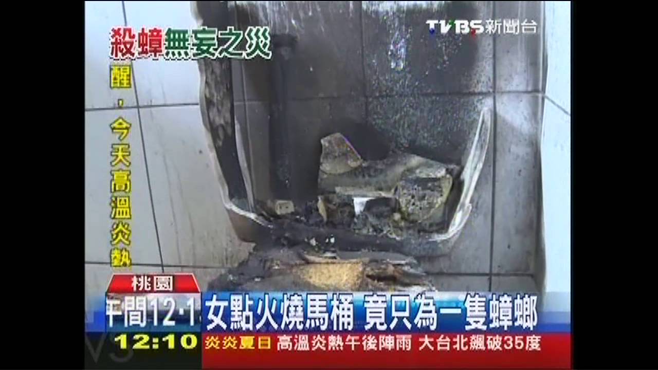 女點火燒馬桶 竟只為一隻蟑螂