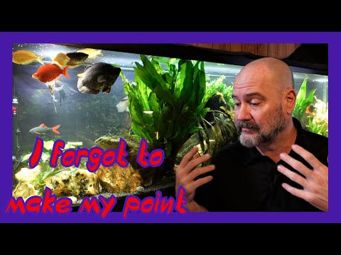 Water Temperature During A Water Change (Follow-Up Video)