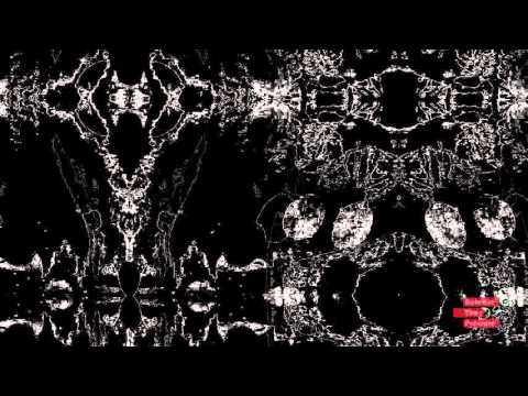 Miguel Graca Acquiered Tastes