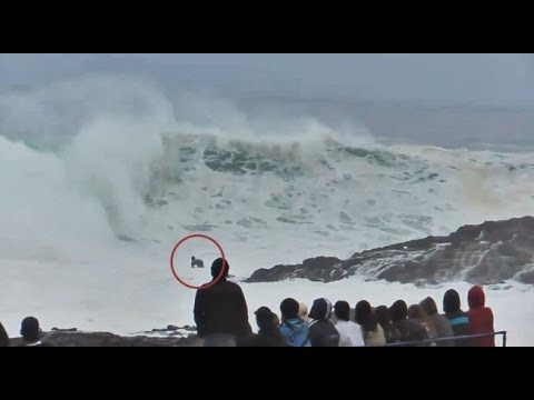 Airan Cabrera sufoco em El Gringo Chile !!!