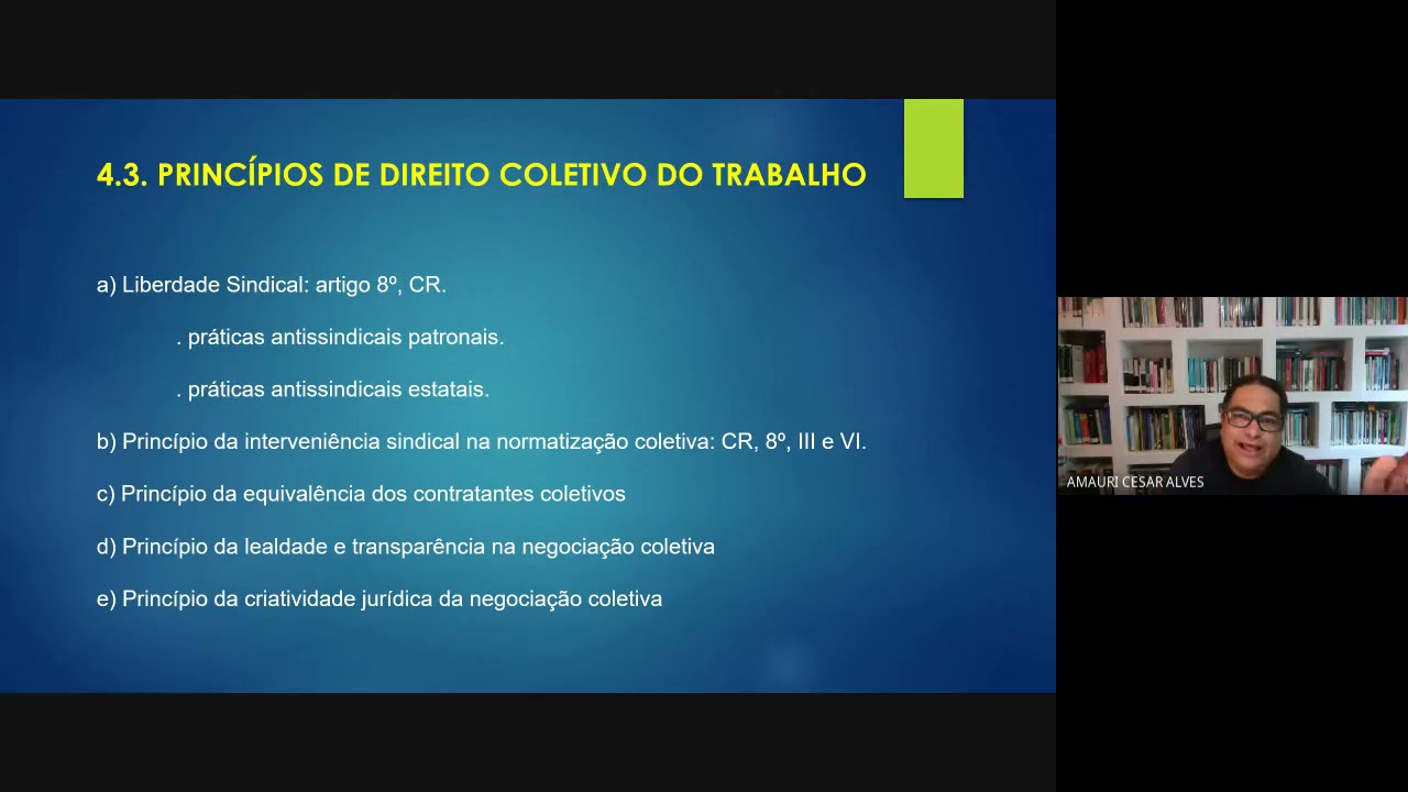 Princípios de Direito Coletivo do Trabalho.
