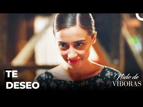 Elvan Tiene Un Pretendiente - Nido De Víboras