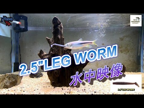 HAMA TV ～Gary Yamamoto [2.5”LEG WORM]～