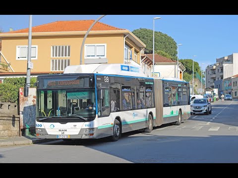 1125 STCP - MAN Lion's City G CNG (NG313) - Linha / Line 801