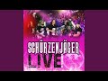 Grüne Tannen (Live)
