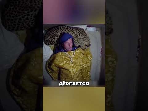 Проснулся Рядом С РЫСЬЮ 😱🌲🐆